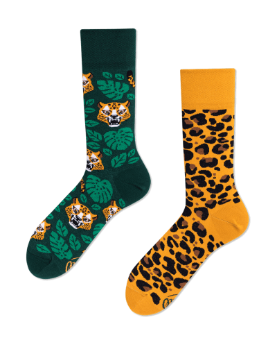 IMG_el leopardo.png