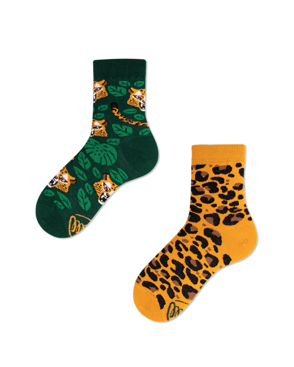 IMG_el leopardokids.png