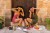Skarpetki-w-cebule.jpg