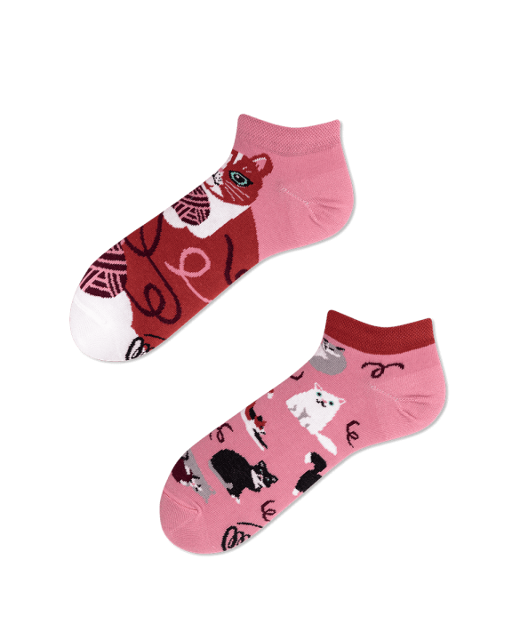 MM_PLAYFUL CAT LOW.png