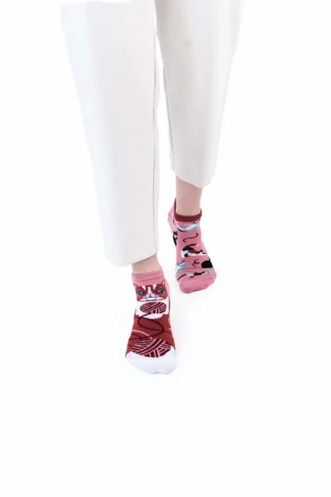 MM_PlayfulCat_Low_Studio_01.webp